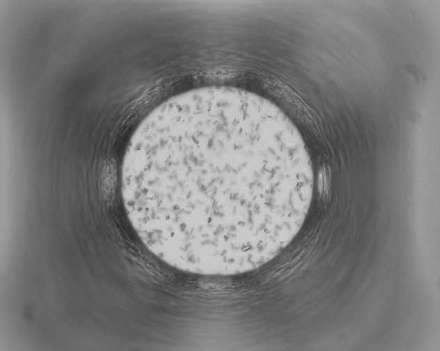 X0000115331299200912141211