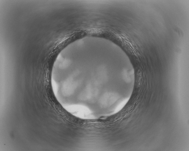 X0000115331301200912141211