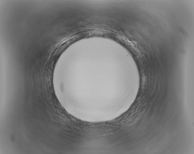 X0000115331303200912141211