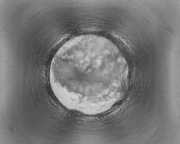 X0000115331305200912141211