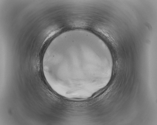 X0000115331306200912141211