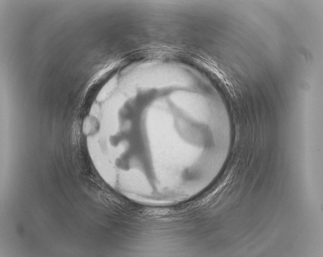 X0000115331309200912141211