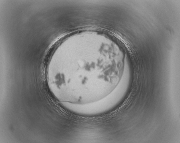 X0000115331310200912141211