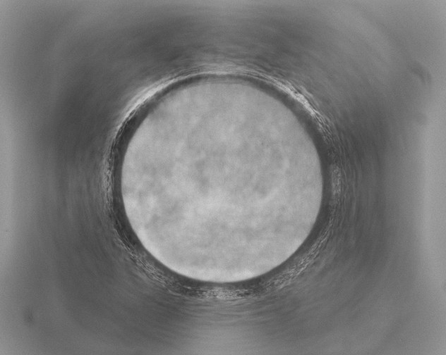 X0000115331311200912141211