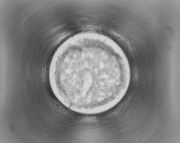 X0000115331313200912141211