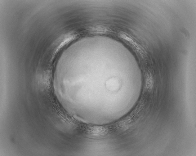 X0000115331314200912141211