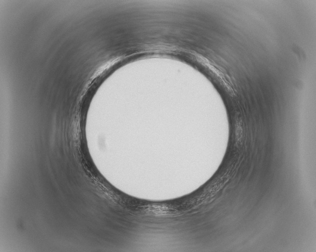 X0000115331315200912141211