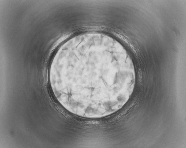 X0000115331317200912141211