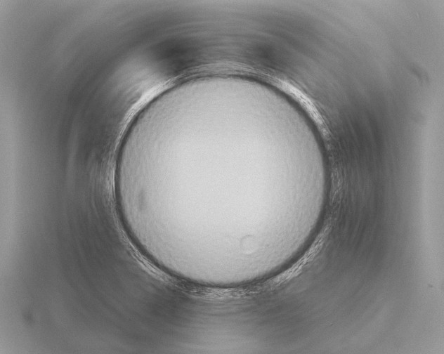 X0000115331322200912141211