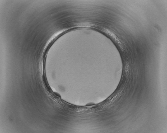 X0000115331323200912141211