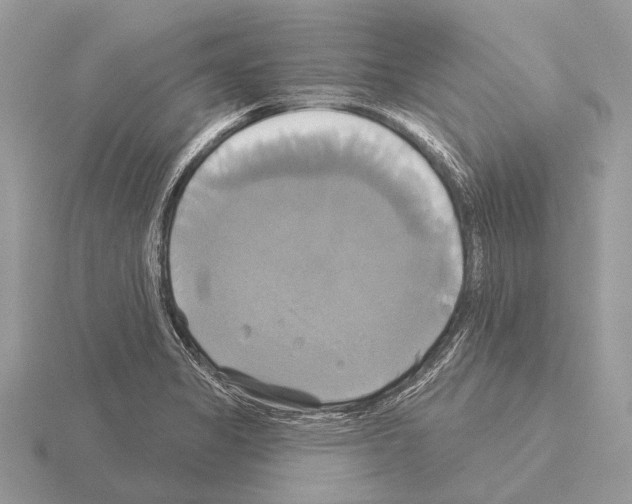 X0000115331325200912141211