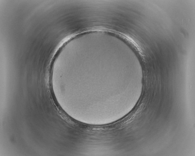 X0000115331326200912141211