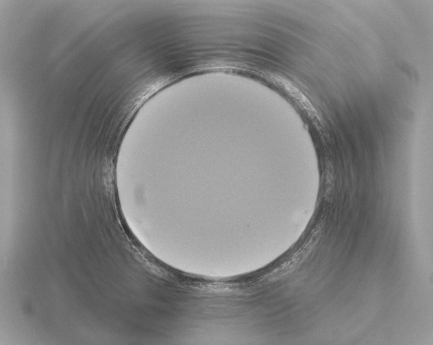 X0000115331329200912141211