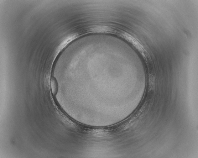 X0000115331330200912141211