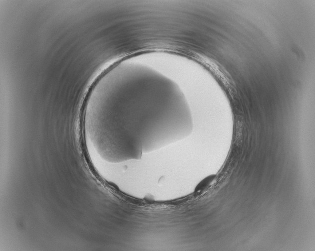 X0000115331331200912141211