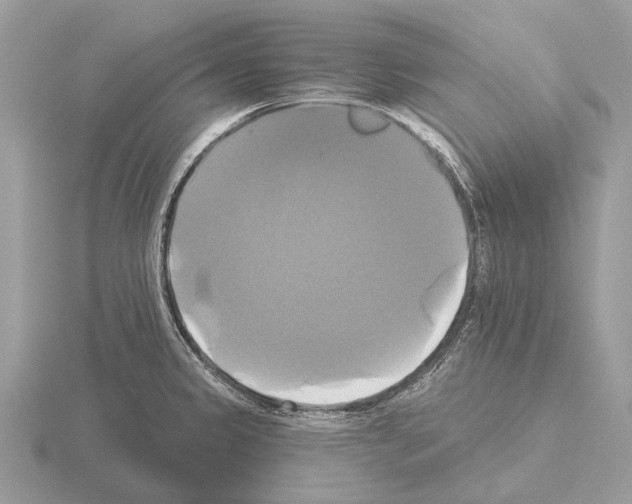 X0000115331333200912141211