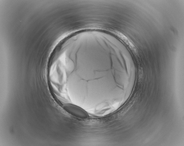 X0000115331334200912141211