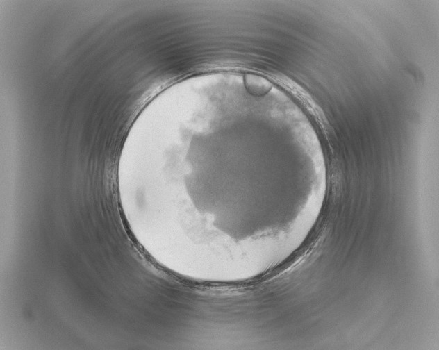 X0000115331337200912141211