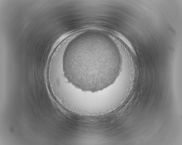 X0000115331338200912141211