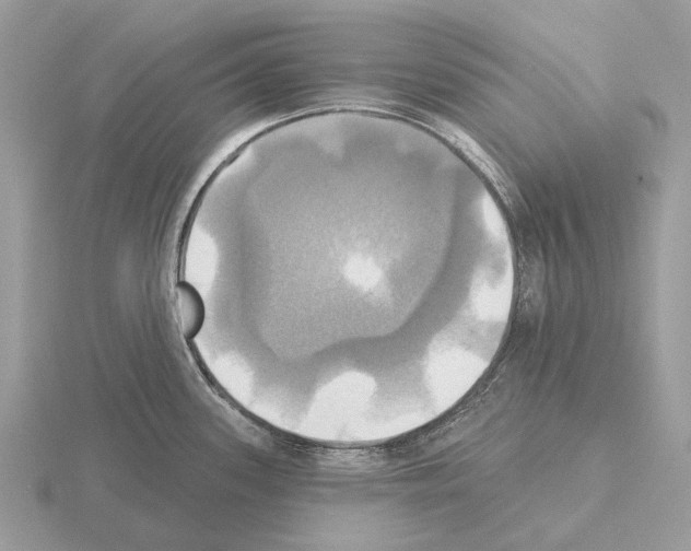 X0000115331339200912141211