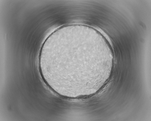 X0000115331341200912141211