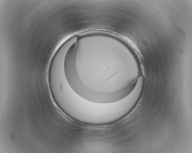 X0000115331342200912141211