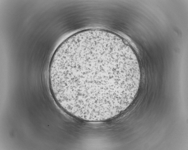 X0000115331343200912141211