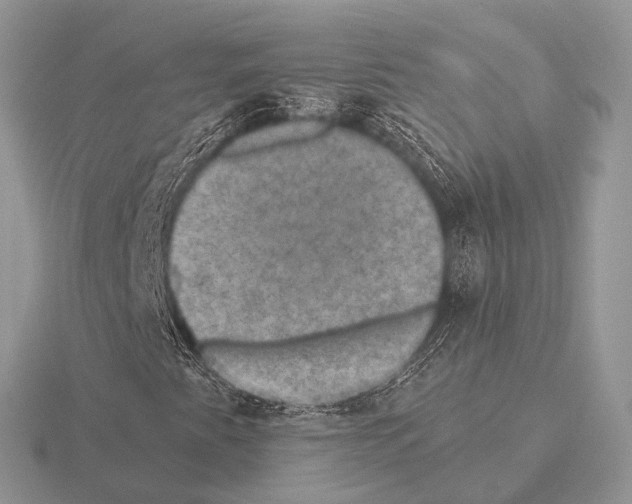 X0000115331345200912141211