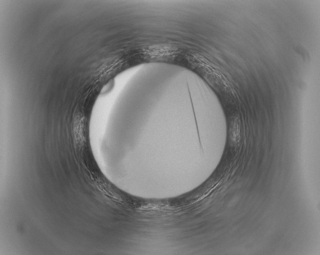 X0000115331346200912141211