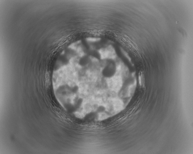 X0000115331347200912141211