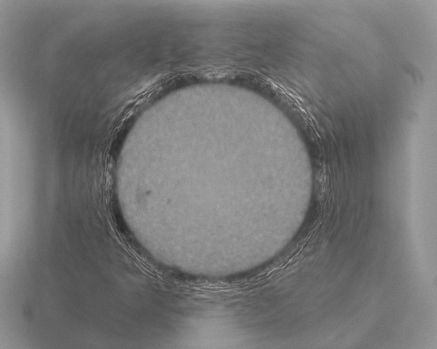 X0000115331349200912141211