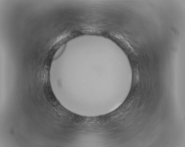 X0000115331350200912141210