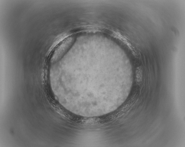 X0000115331352200912141210