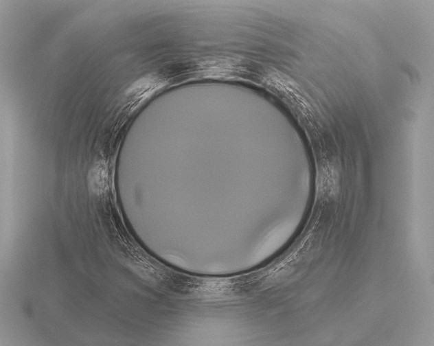 X0000115331353200912141210