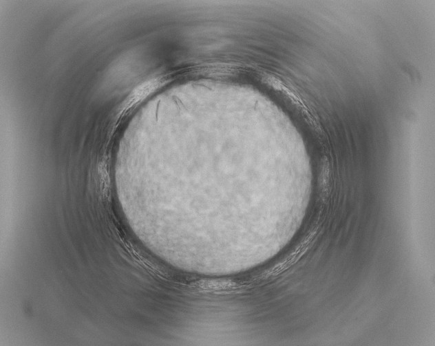 X0000115331354200912141210