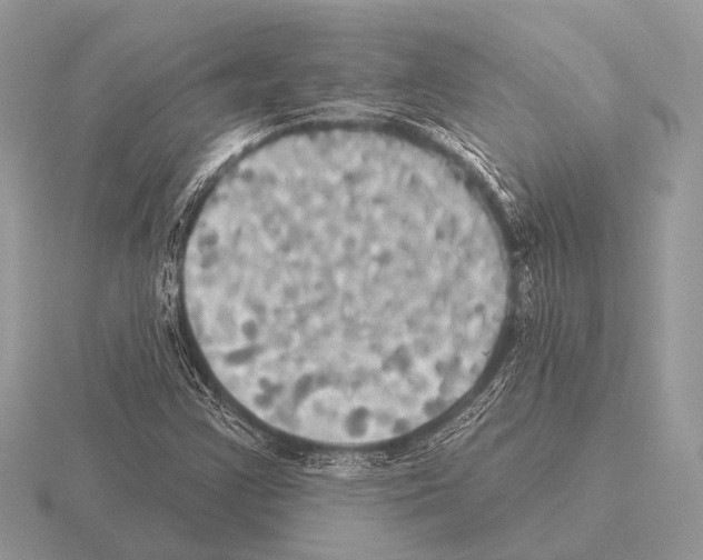 X0000115331355200912141210