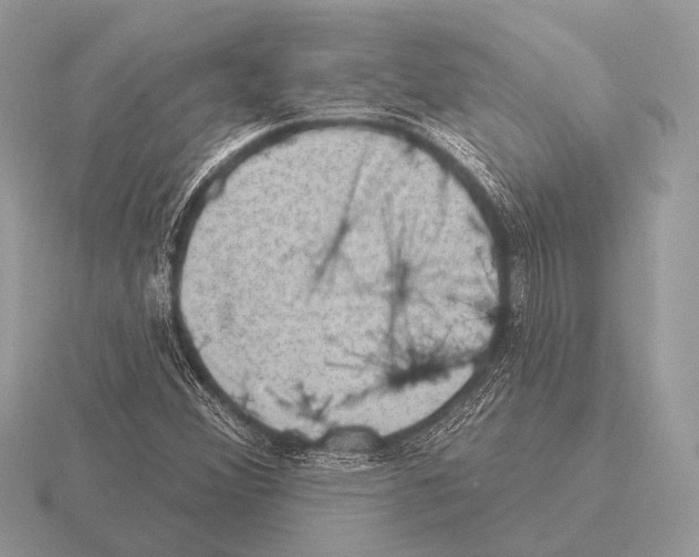 X0000115331356200912141210