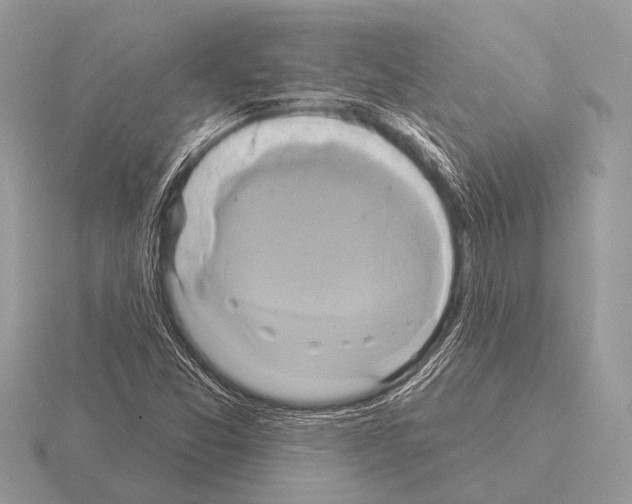 X0000115331357200912141210