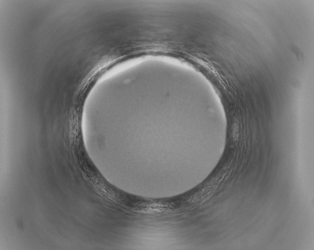 X0000115331359200912141210