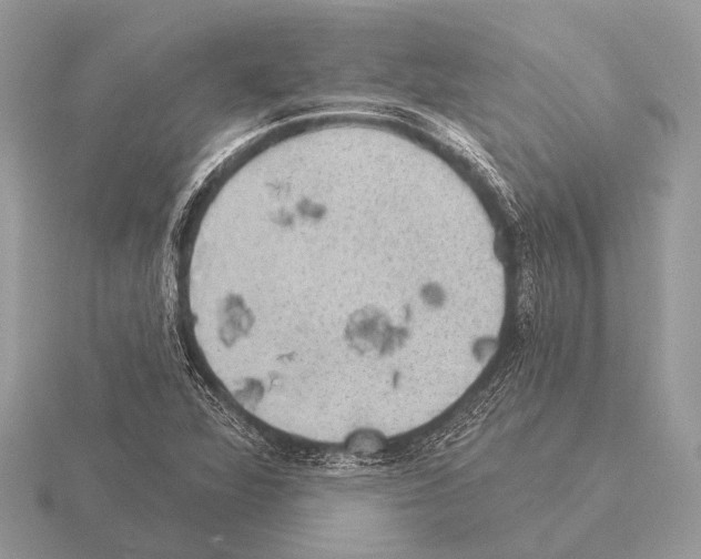 X0000115331360200912141210