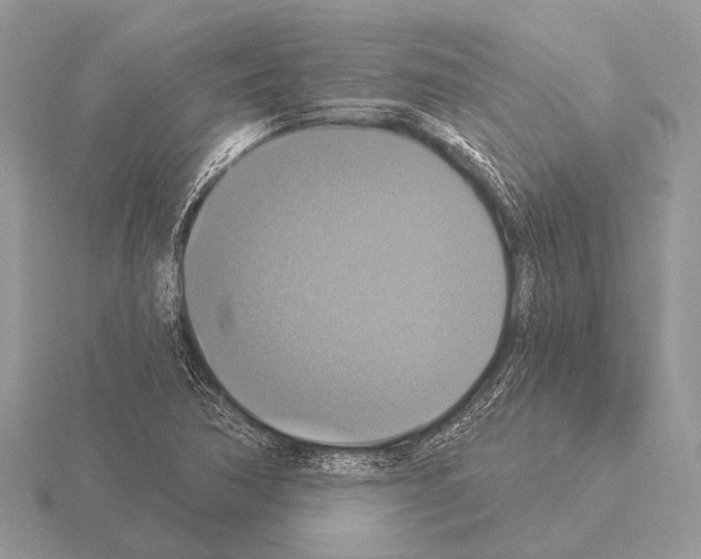 X0000115331362200912141210