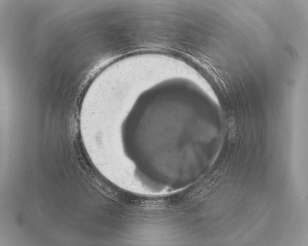 X0000115331363200912141210