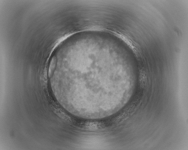 X0000115331364200912141210