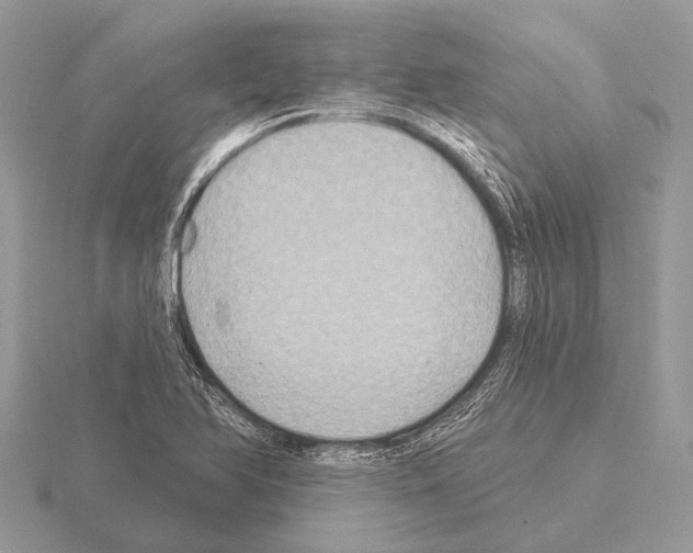 X0000115331366200912141210