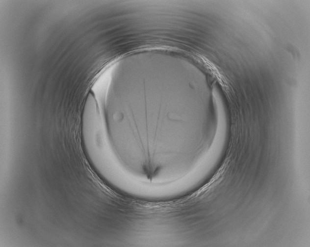 X0000115331369200912141210