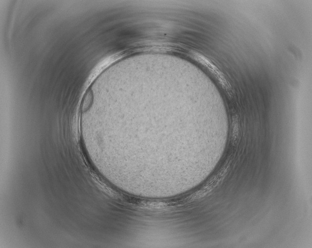 X0000115331370200912141210