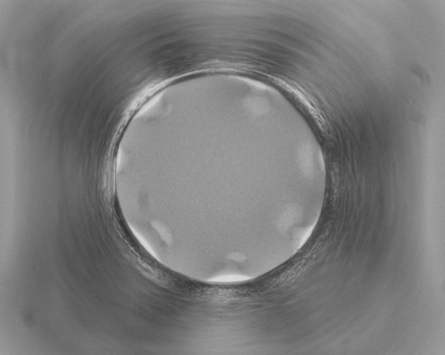 X0000115331371200912141210