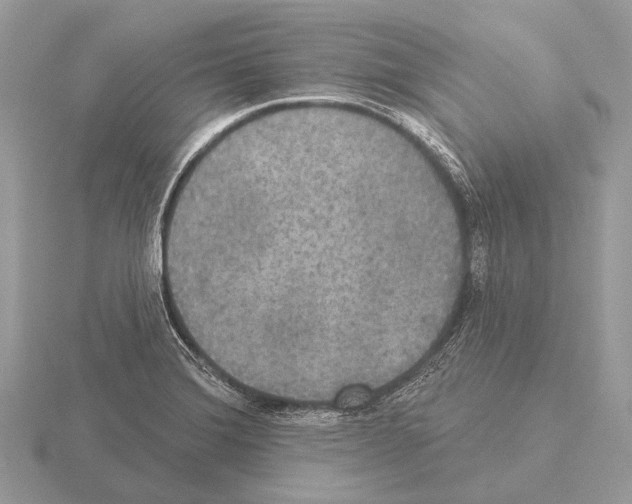 X0000115331372200912141210