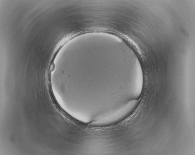 X0000115331373200912141210