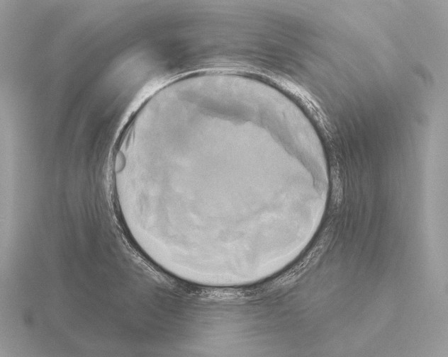 X0000115331374200912141210